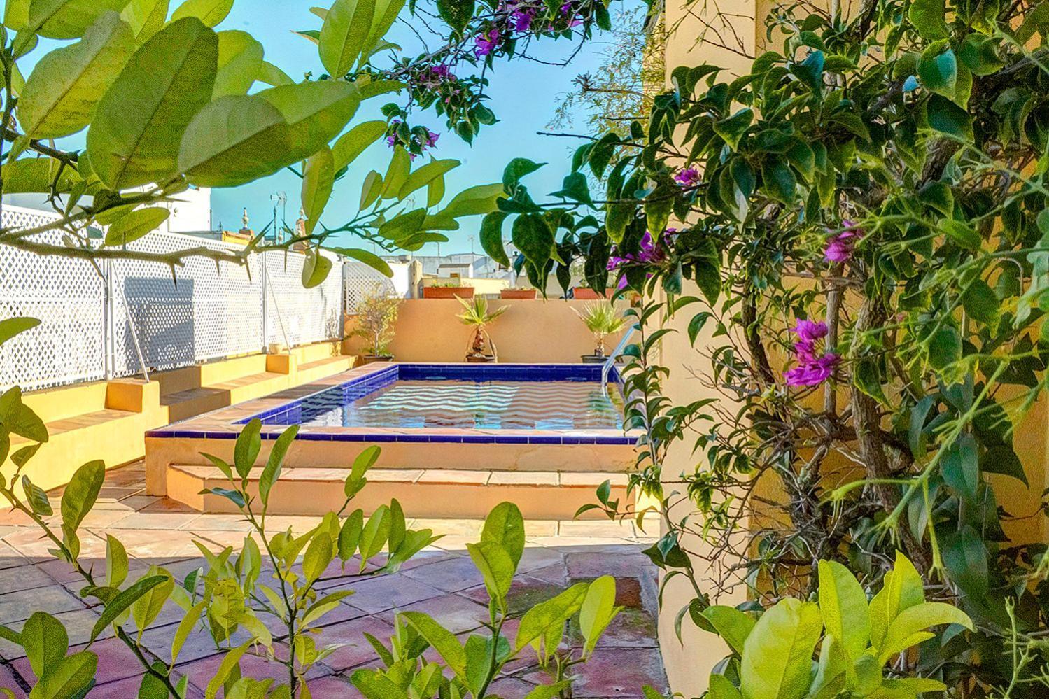 Apartamento Trajano เซบีญา ภายนอก รูปภาพ